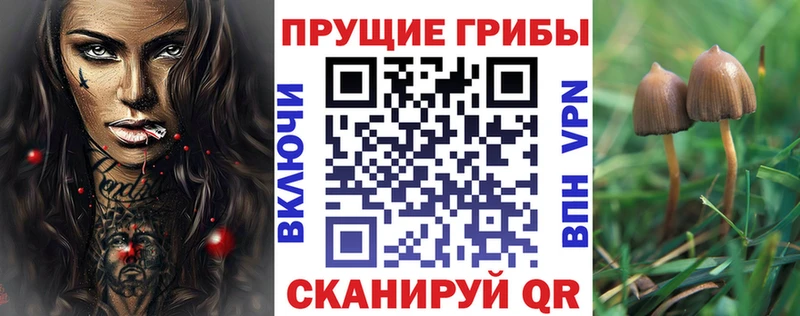 Галлюциногенные грибы Magic Shrooms  Екатеринбург 